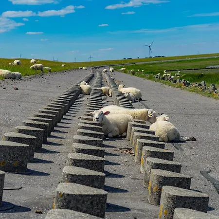 Seenelke Casa de Férias Neßmersiel