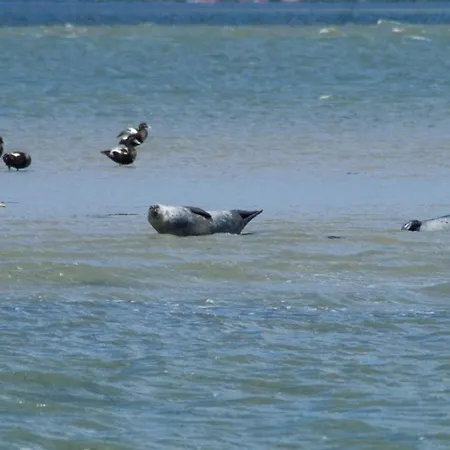 Casa de Férias Seenelke *